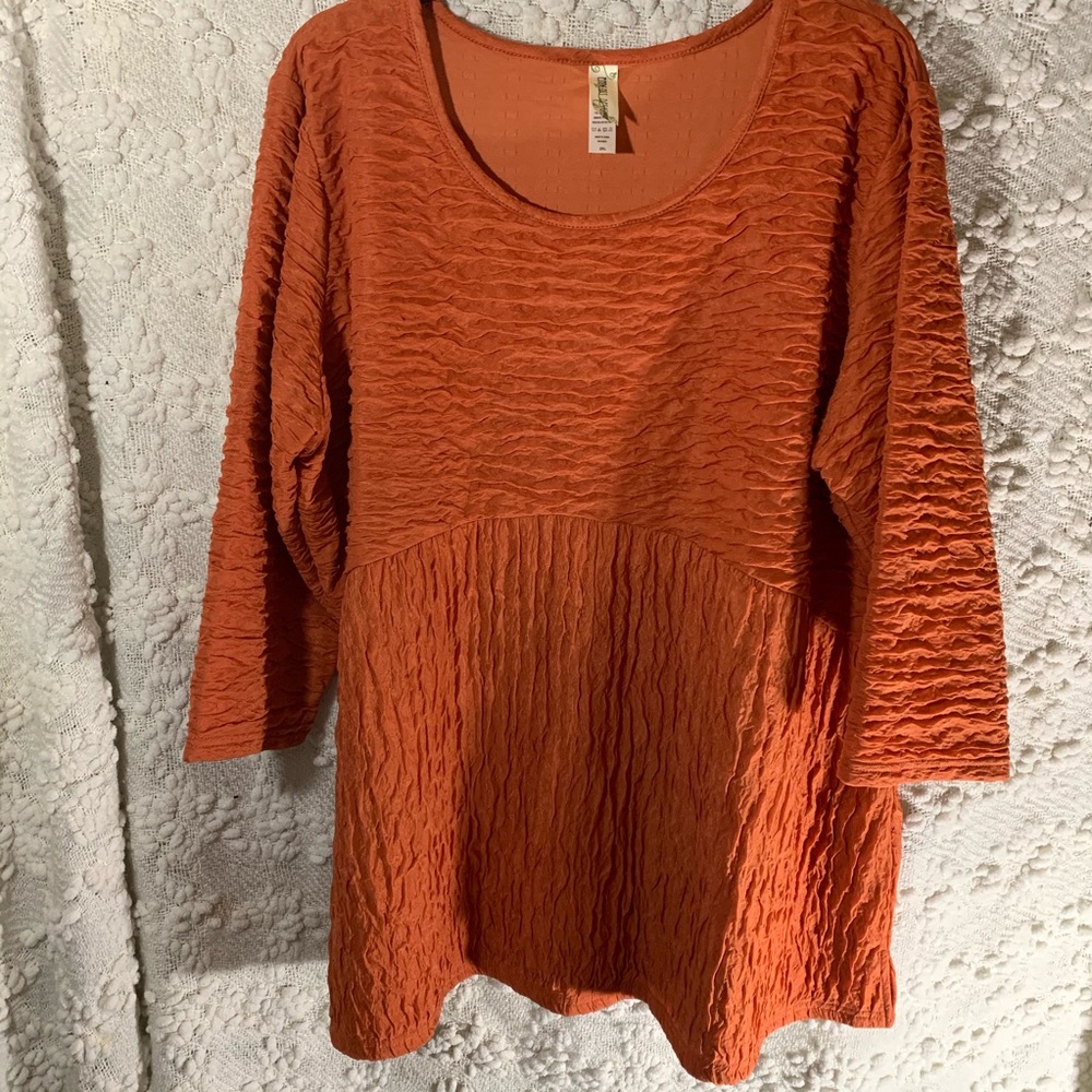 Woman’s plus size shirt orange